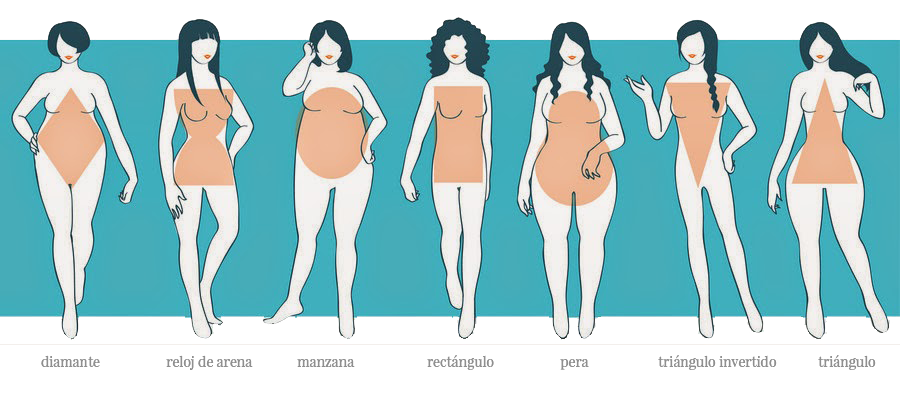 tipo-de-cuerpo